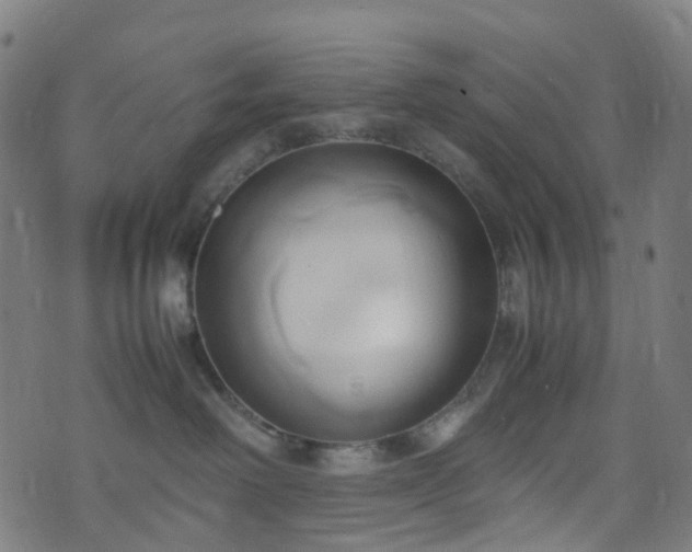 X0000070870238200606231325