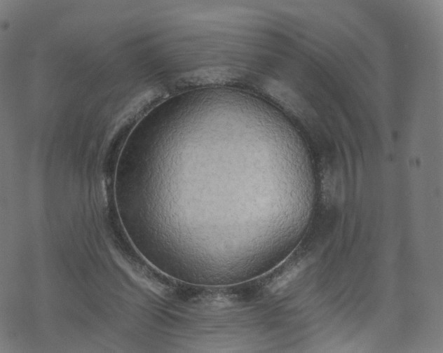 X0000070870254200606231325