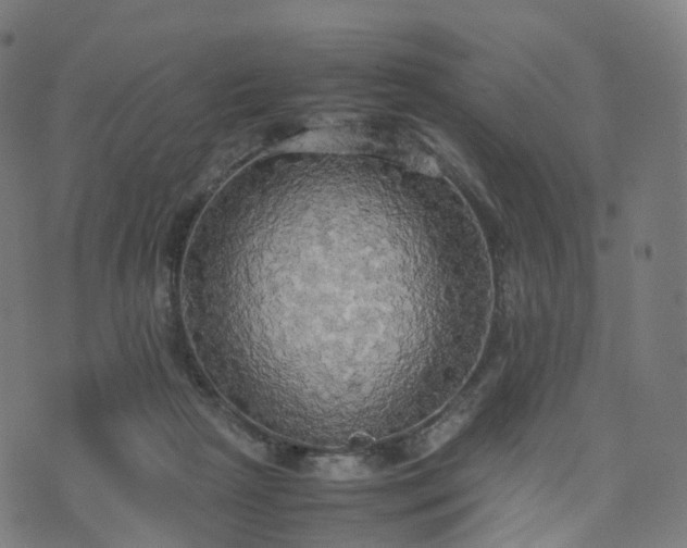 X0000070870265200606231325