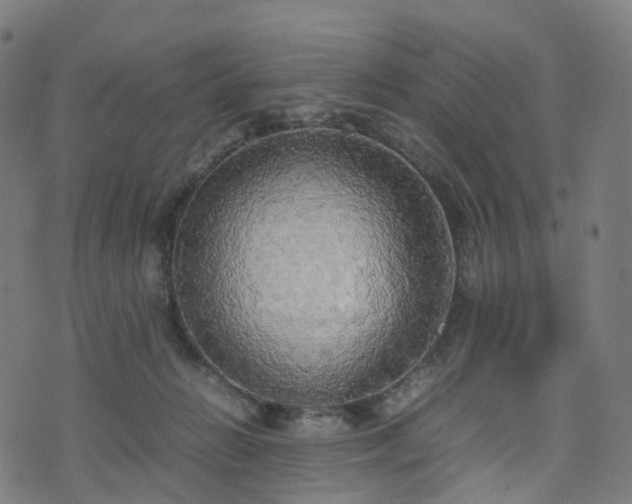 X0000070870270200606231325