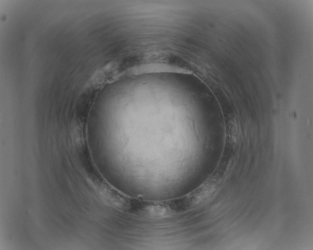 X0000070870272200606231325