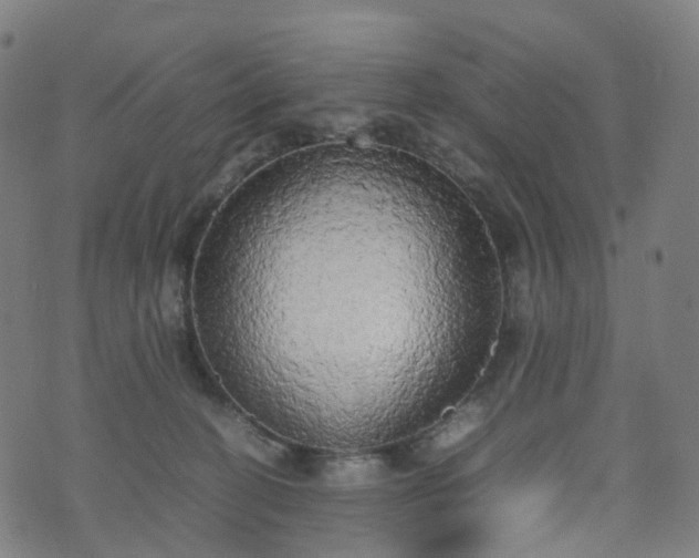 X0000070870274200606231325