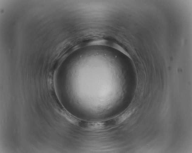 X0000070870288200606231325