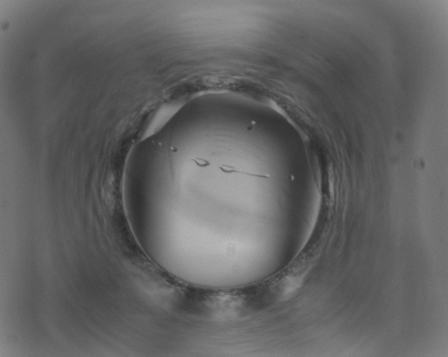 X0000070870319200606231324