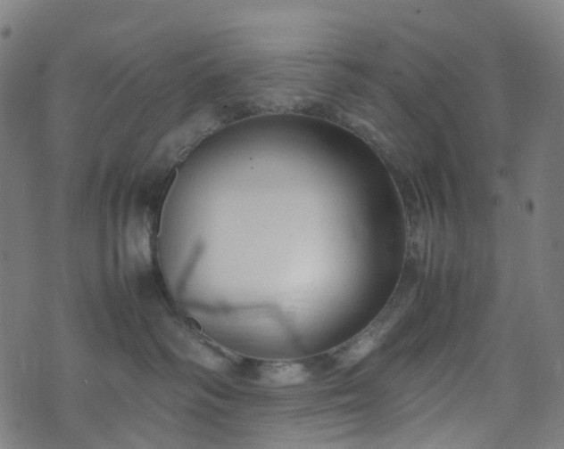 X0000070870334200606231324