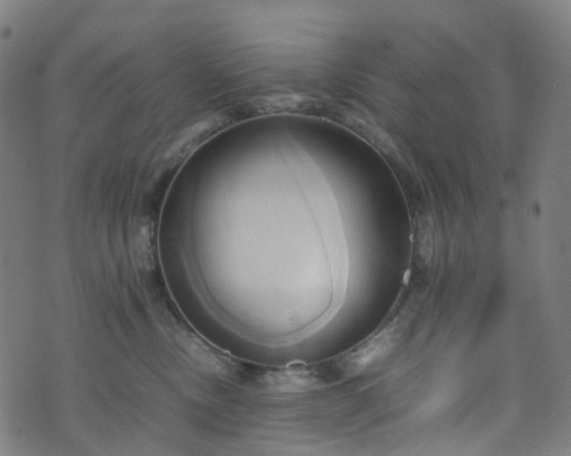X0000070870378200606231324