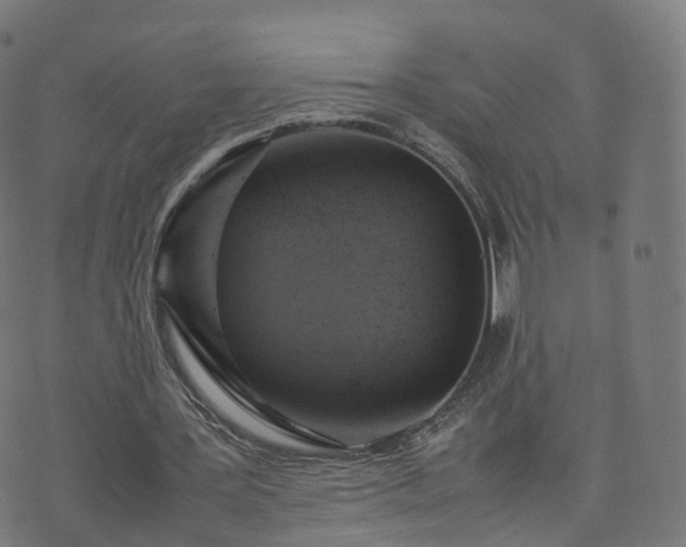 X0000070870387200606231323