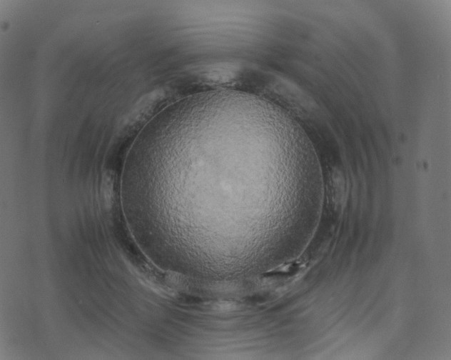 X0000070870412200606231323