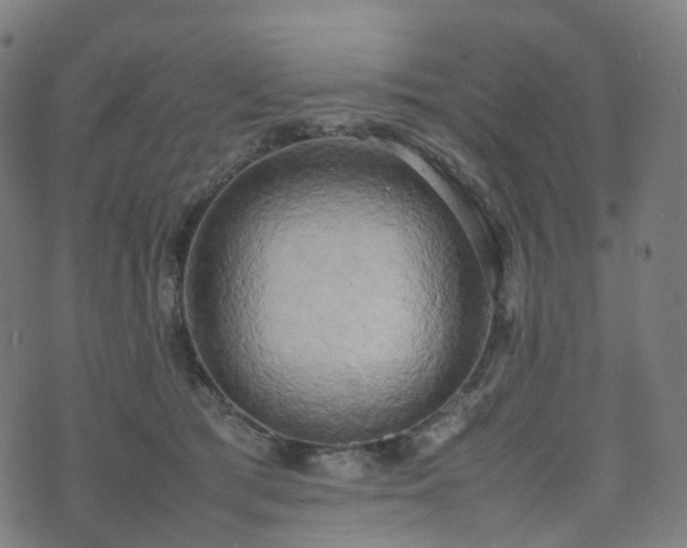 X0000070870417200606231323