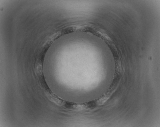 X0000070870419200606231323