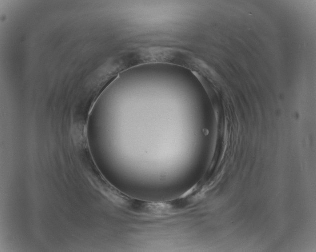 X0000070870429200606231322