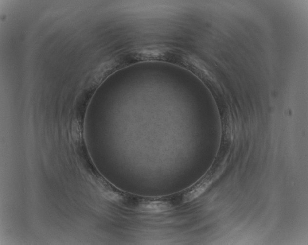 X0000070870467200606231322