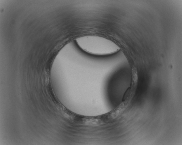 X0000070870471200606231322
