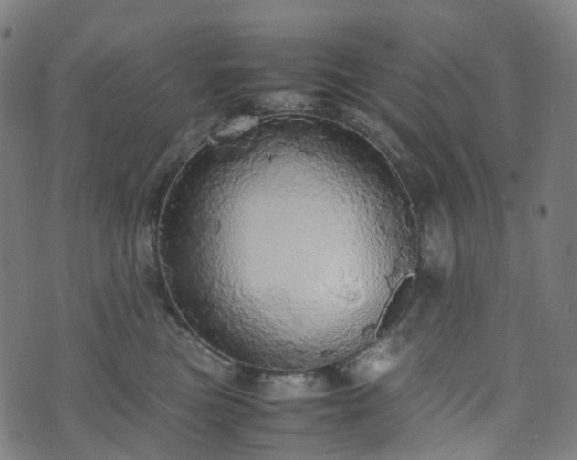 X0000070870473200606231322