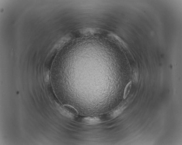 X0000070870477200606231322