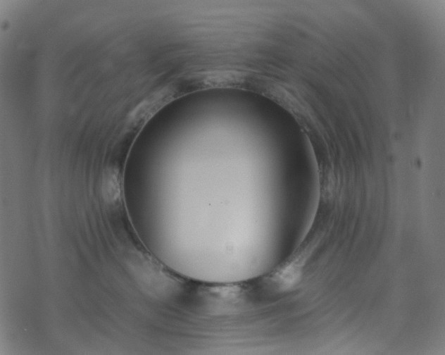 X0000070870478200606231322