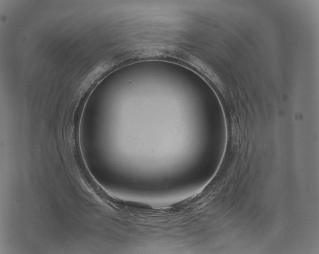 X0000070870485200606231321