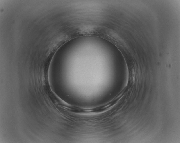 X0000070870508200606231321