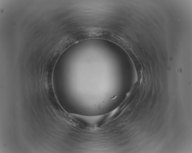 X0000070870512200606231321