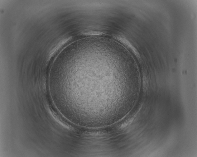 X0000070870533200606231320