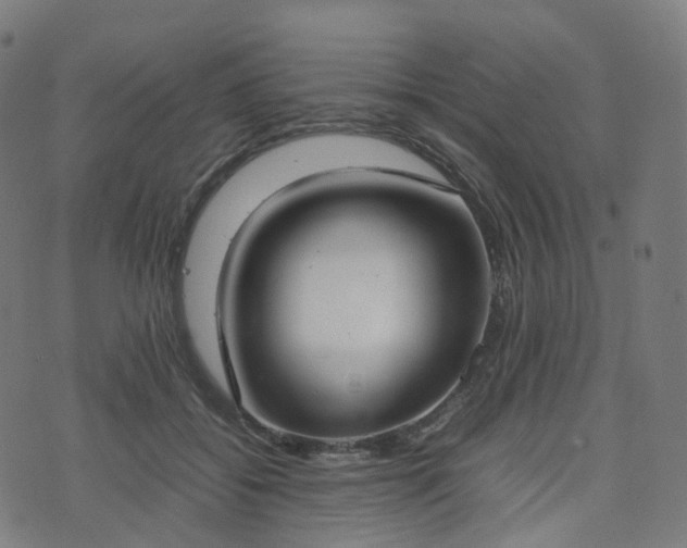 X0000070870556200606231320