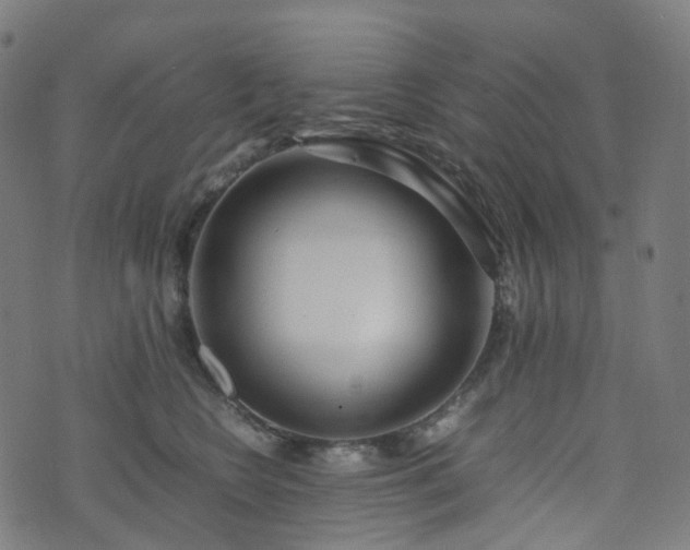 X0000070870566200606231321