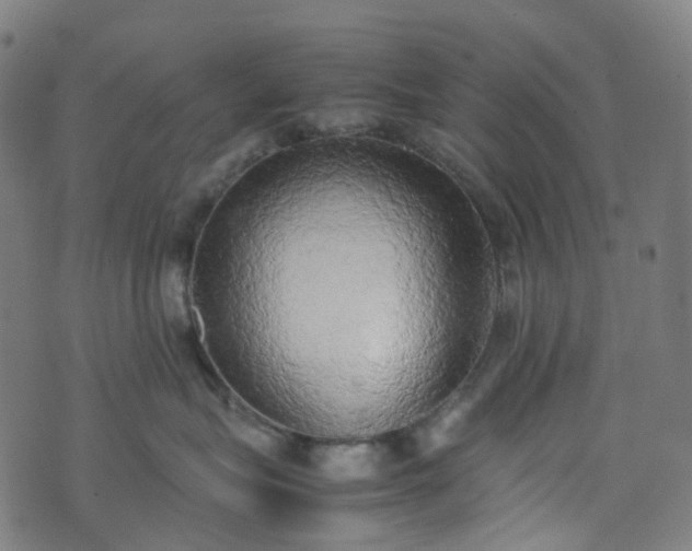X0000070870575200606231321