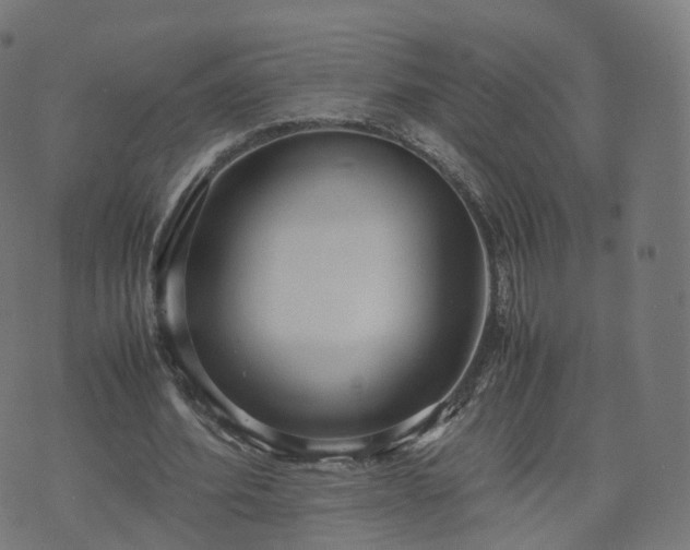 X0000070870580200606231320