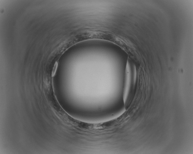 X0000070870607200606231319