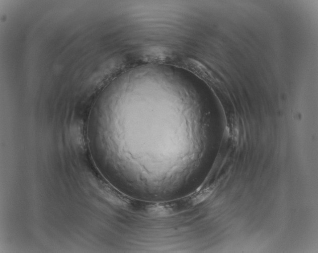 X0000070870616200606231319
