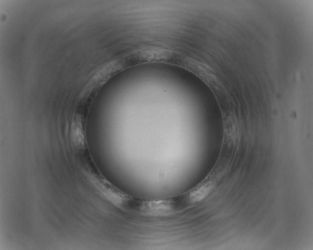 X0000070870622200606231319