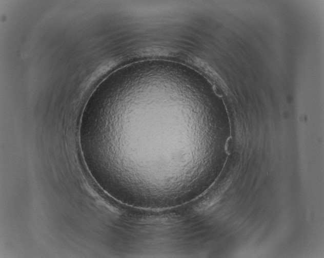 X0000070870625200606231318
