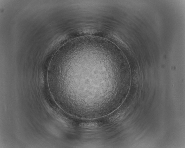 X0000070870639200606231319