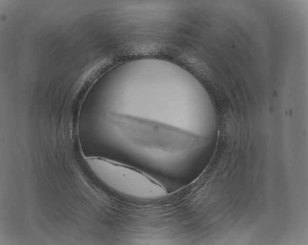 X0000070870640200606231319