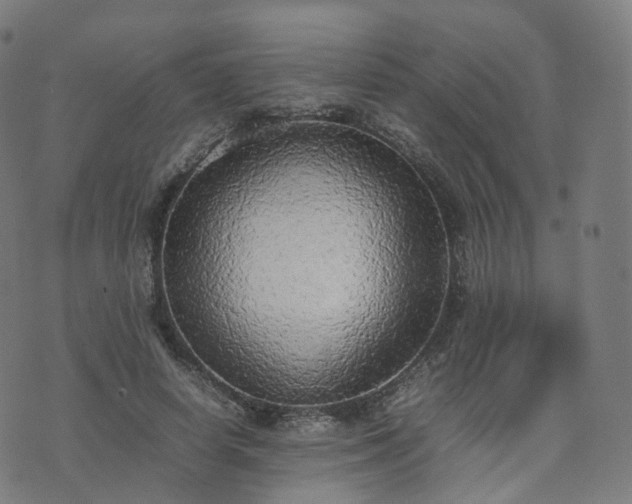 X0000070870642200606231319