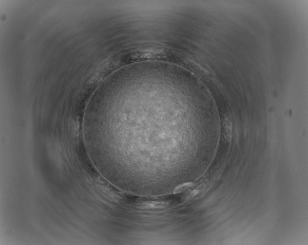 X0000070870657200606231319