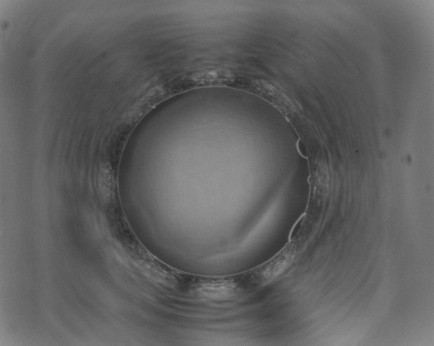 X0000070870659200606231319