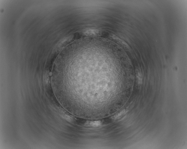 X0000070870665200606231319