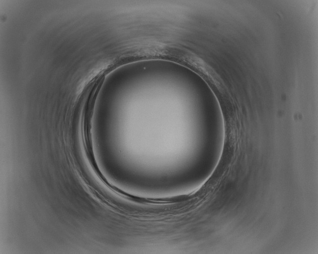 X0000070870677200606231318