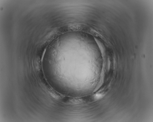 X0000070870712200606231318