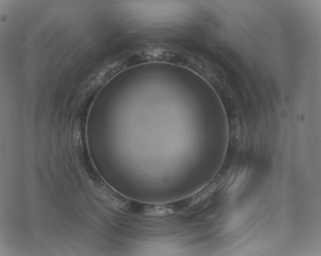 X0000070870754200606231317