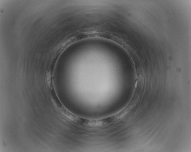 X0000070870767200606231318