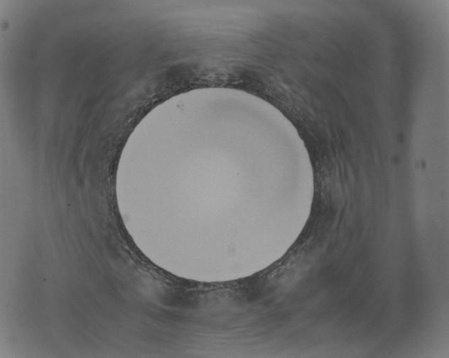 X0000070870769200606231317