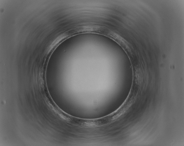 X0000070870794200606231316