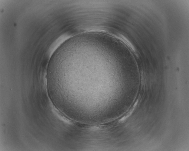 X0000070870814200606231316