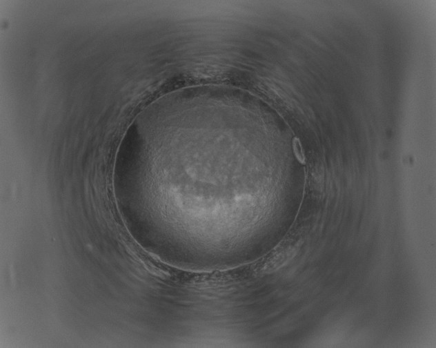 X0000070870817200606231315