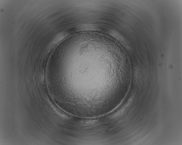 X0000070870841200606231316