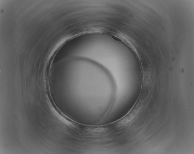 X0000070870851200606231316