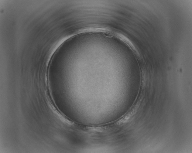 X0000070870852200606231316