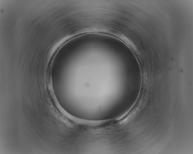 X0000070870854200606231316